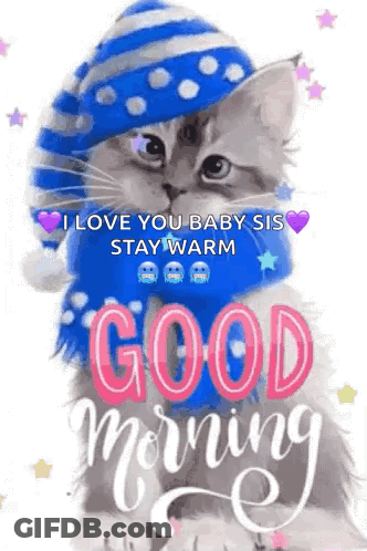 A Cat Wearing A Hat And Scarf Is Saying `` I Love You Baby Sis Stay Warm '' . GIF
