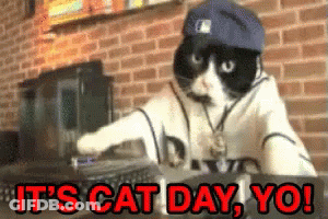 A Cat Wearing A Hat And Sunglasses Says It 'S Cat Day Yo ! GIF