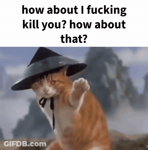 A Cat Wearing A Hat Is Asking How About I Fucking Kill You How About That GIF