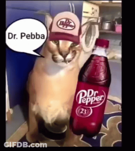 A Cat Wearing A Hat Is Holding A Bottle Of Dr Pepper . GIF
