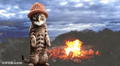 A Cat Wearing A Hat Stands Next To A Fire GIF
