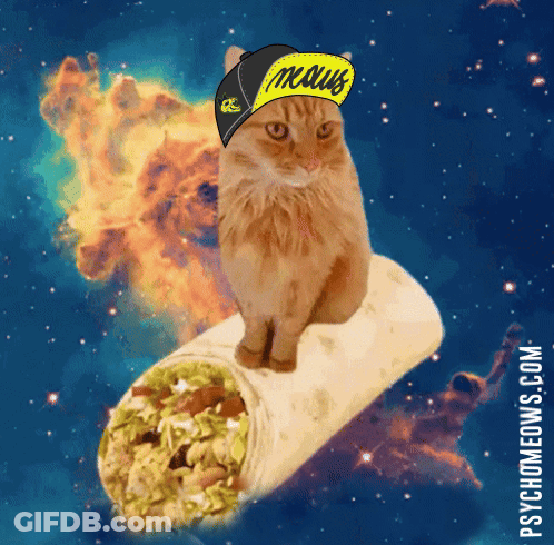 A Cat Wearing A Hat That Says Naus Sits On A Burrito In Outer Space GIF