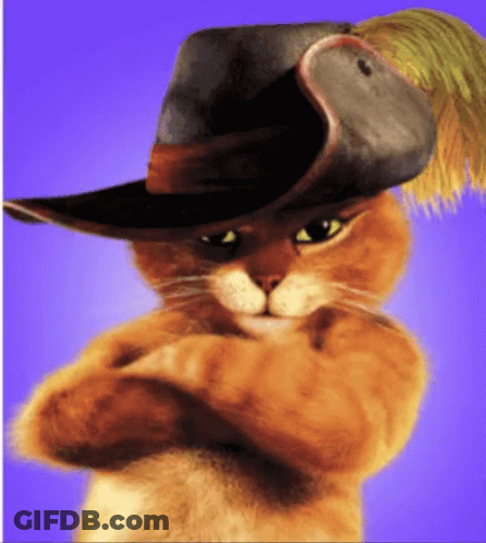 A Cat Wearing A Hat With A Feather On The Top GIF