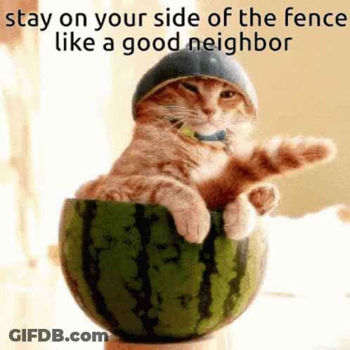A Cat Wearing A Helmet Is Sitting In A Watermelon With The Caption Stay On Your Side Of The Fence Like A Good Neighbor GIF