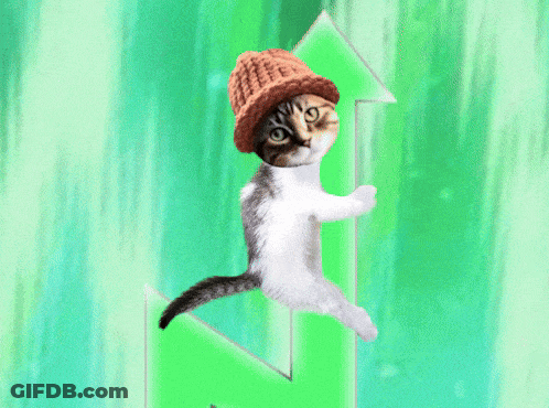 A Cat Wearing A Knitted Hat Is Standing On A Green Arrow Pointing Up GIF