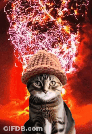 A Cat Wearing A Knitted Hat Is Surrounded By Fire And Lightning . GIF