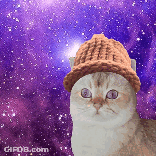 A Cat Wearing A Knitted Hat Looks At The Camera GIF