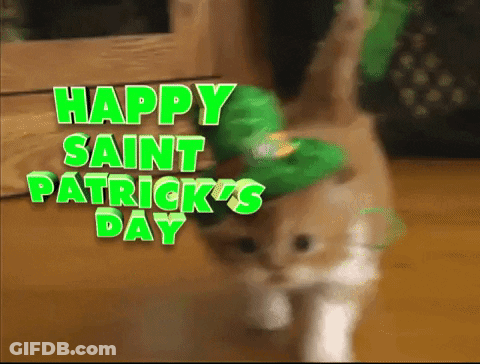 A Cat Wearing A Leprechaun Hat And Sunglasses Says Happy Saint Patricks Day GIF