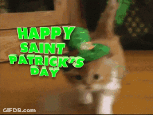 A Cat Wearing A Leprechaun Hat With The Words Happy Saint Patrick 'S Day GIF