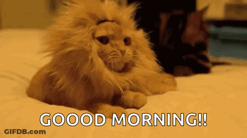 A Cat Wearing A Lion 'S Mane Is Laying On A Bed With The Words `` Good Morning ! '' GIF