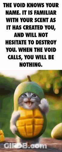 A Cat Wearing A Mango Costume With A Quote About The Void GIF