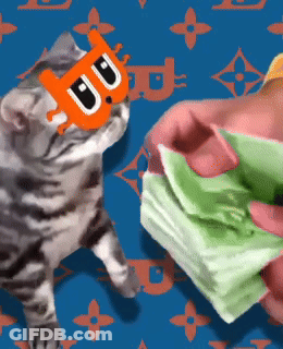 A Cat Wearing A Mask That Says " Aa " On It GIF