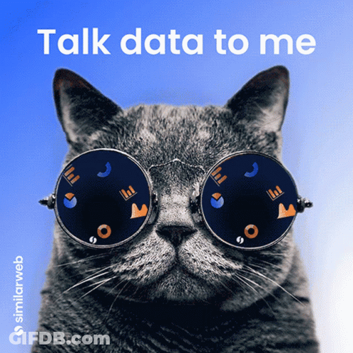 A Cat Wearing A Pair Of Glasses With The Words Talk Data To Me Above It GIF