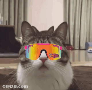 A Cat Wearing A Pair Of Sunglasses With The Word Snff On It GIF
