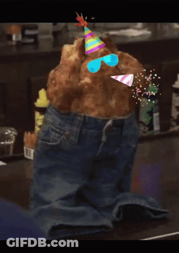 A Cat Wearing A Party Hat And Sunglasses Is Sitting On A Pair Of Jeans GIF