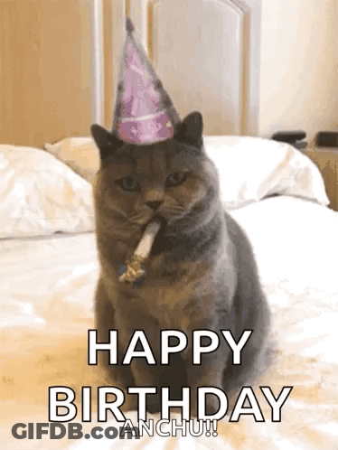 A Cat Wearing A Party Hat Is Sitting On A Bed GIF