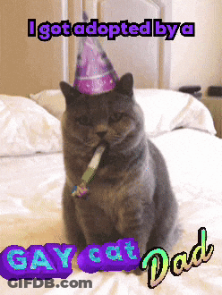 A Cat Wearing A Party Hat Is Sitting On A Bed Next To A Sign That Says Gay Cat Dad GIF