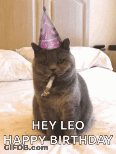 A Cat Wearing A Party Hat Is Sitting On A Bed With A Cigarette In Its Mouth . GIF