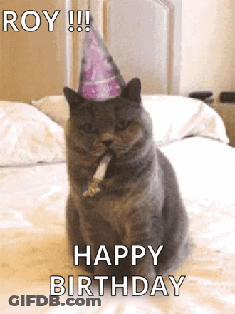 A Cat Wearing A Party Hat Is Sitting On A Bed With A Cigarette In Its Mouth And Says Happy Birthday GIF