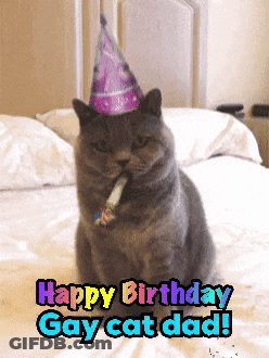 A Cat Wearing A Party Hat Is Sitting On A Bed With The Words Happy Birthday Gay Cat Dad GIF
