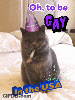 A Cat Wearing A Party Hat Is Sitting On A Bed With The Words Oh To Be Gay In The Usa GIF