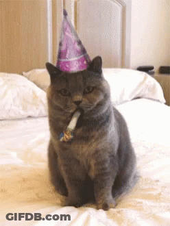 A Cat Wearing A Party Hat Is Smoking A Cigarette On A Bed GIF