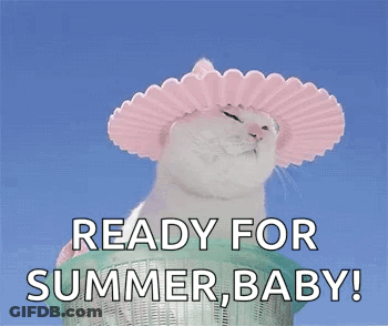 A Cat Wearing A Pink Hat Is Sitting On Top Of A Basket . GIF
