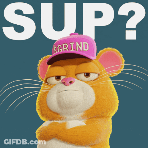 A Cat Wearing A Pink Hat That Says Grind On It GIF