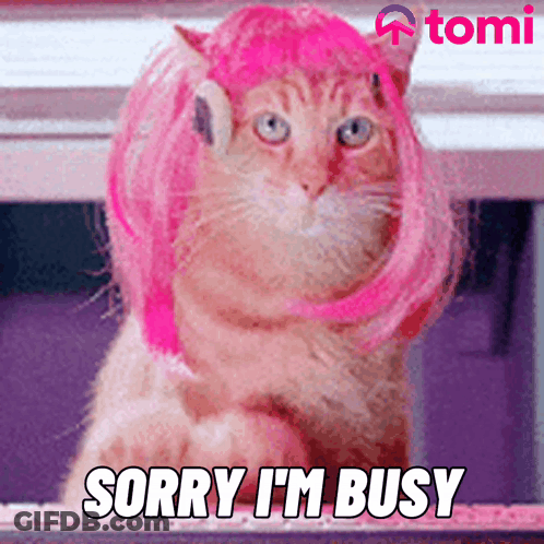 A Cat Wearing A Pink Wig With The Words Sorry I 'M Busy Below It GIF