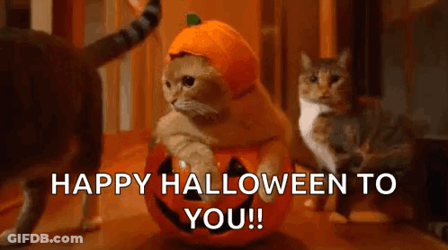 A Cat Wearing A Pumpkin Hat Is Sitting On A Pumpkin . GIF
