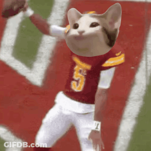 A Cat Wearing A Red And White Jersey With The Number 5 On It GIF