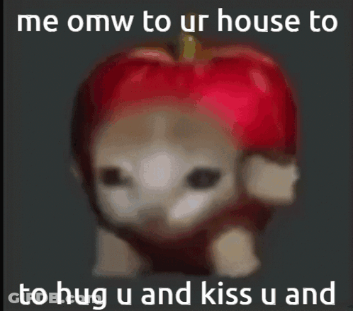 A Cat Wearing A Red Apple Costume With The Words " Me Omw To Ur House To To Hug U And Kiss U And " GIF
