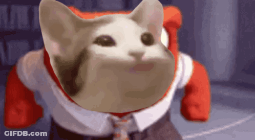A Cat Wearing A Red Shirt And Tie Is Standing In A Room GIF