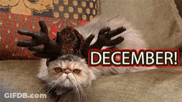 A Cat Wearing A Reindeer Costume Is Laying On A Couch Next To The Word December GIF