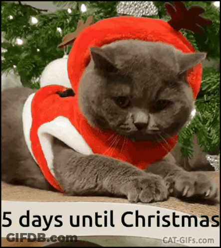 A Cat Wearing A Santa Claus Outfit Is Laying On A Christmas Tree GIF