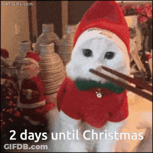 A Cat Wearing A Santa Hat And A Bow Tie Is Holding Chopsticks In Its Mouth .. GIF