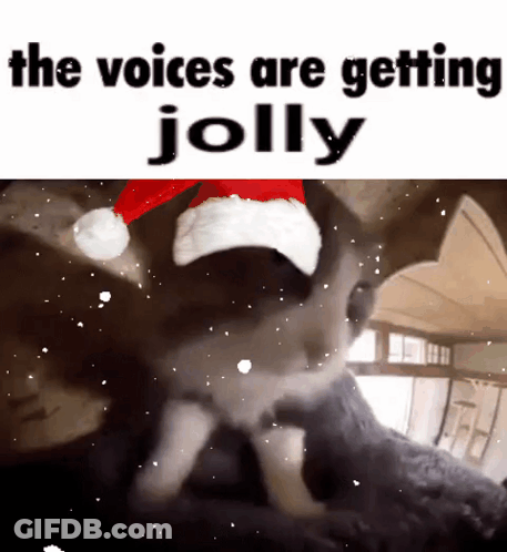 A Cat Wearing A Santa Hat Is Getting Jolly GIF