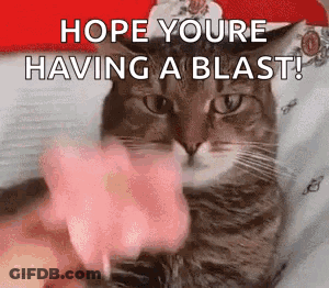 A Cat Wearing A Santa Hat Is Laying On A Bed And Pointing At The Camera . GIF