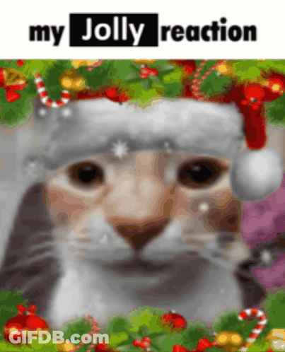 A Cat Wearing A Santa Hat Is Surrounded By Christmas Decorations And Says My Jolly Reaction GIF