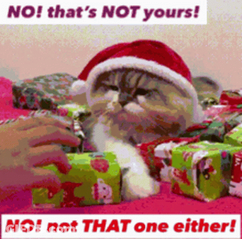 A Cat Wearing A Santa Hat Is Surrounded By Christmas Presents And Says No That 'S Not Yours GIF