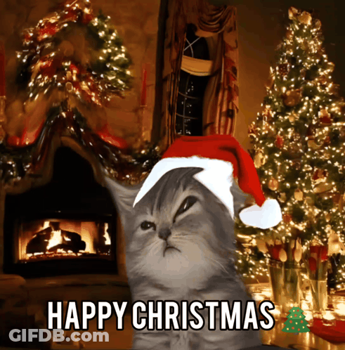 A Cat Wearing A Santa Hat Wishes You Happy Christmas GIF