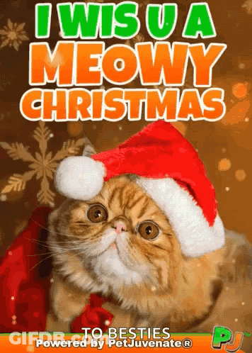 A Cat Wearing A Santa Hat With The Words I Wish U A Meowy Christmas GIF