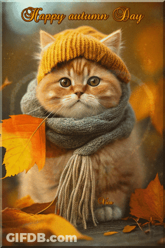 A Cat Wearing A Scarf And A Hat With The Words Happy Autumn Day Above It GIF