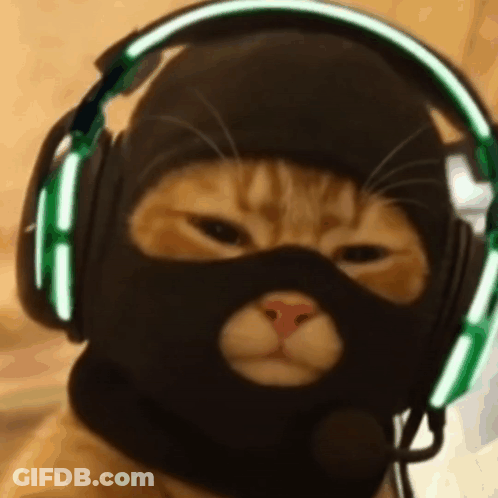A Cat Wearing A Ski Mask And Headphones Is Looking At The Camera . GIF