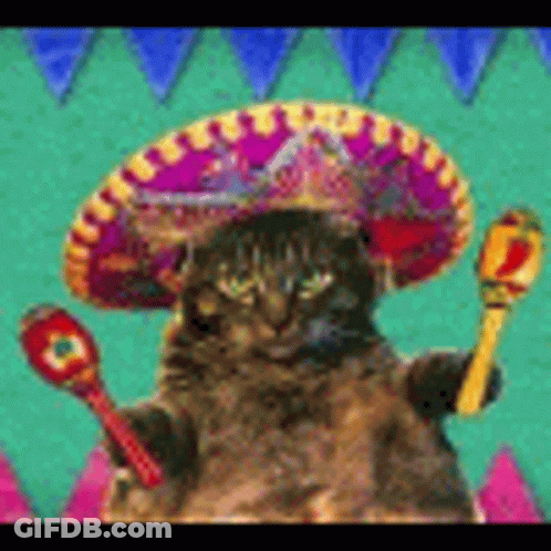 A Cat Wearing A Sombrero And Holding Maracas Is Sitting On A Table . GIF