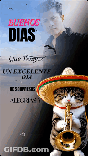 A Cat Wearing A Sombrero And Playing A Trumpet With A Man In The Background GIF