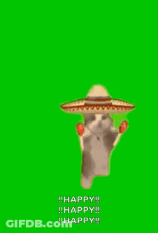 A Cat Wearing A Sombrero Is Dancing On A Green Screen . GIF