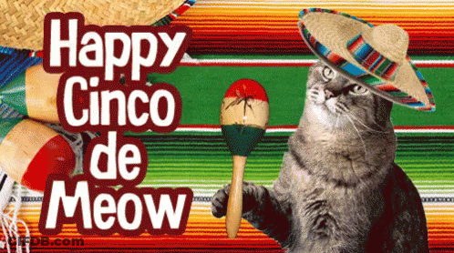A Cat Wearing A Sombrero Is Holding A Maraca And A Sign Says Happy Cinco De Meow GIF