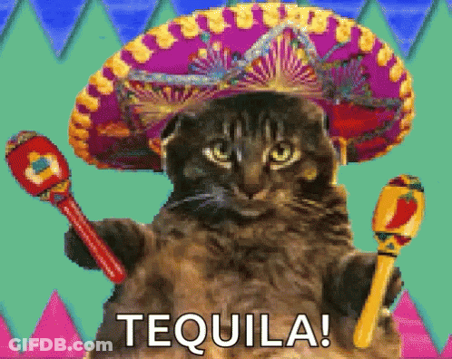 A Cat Wearing A Sombrero Is Holding A Maraca And The Word Tequila Is Above It GIF