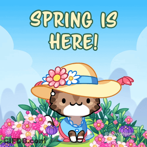 A Cat Wearing A Straw Hat With Flowers On It Is Surrounded By Flowers And Says Spring Is Here GIF